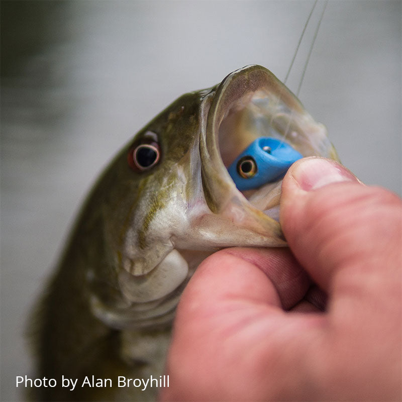 Double Barrel Surface Seducer Foam Baitfish Popper Heads